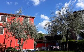 Alchimista Bb Borgo Marciano