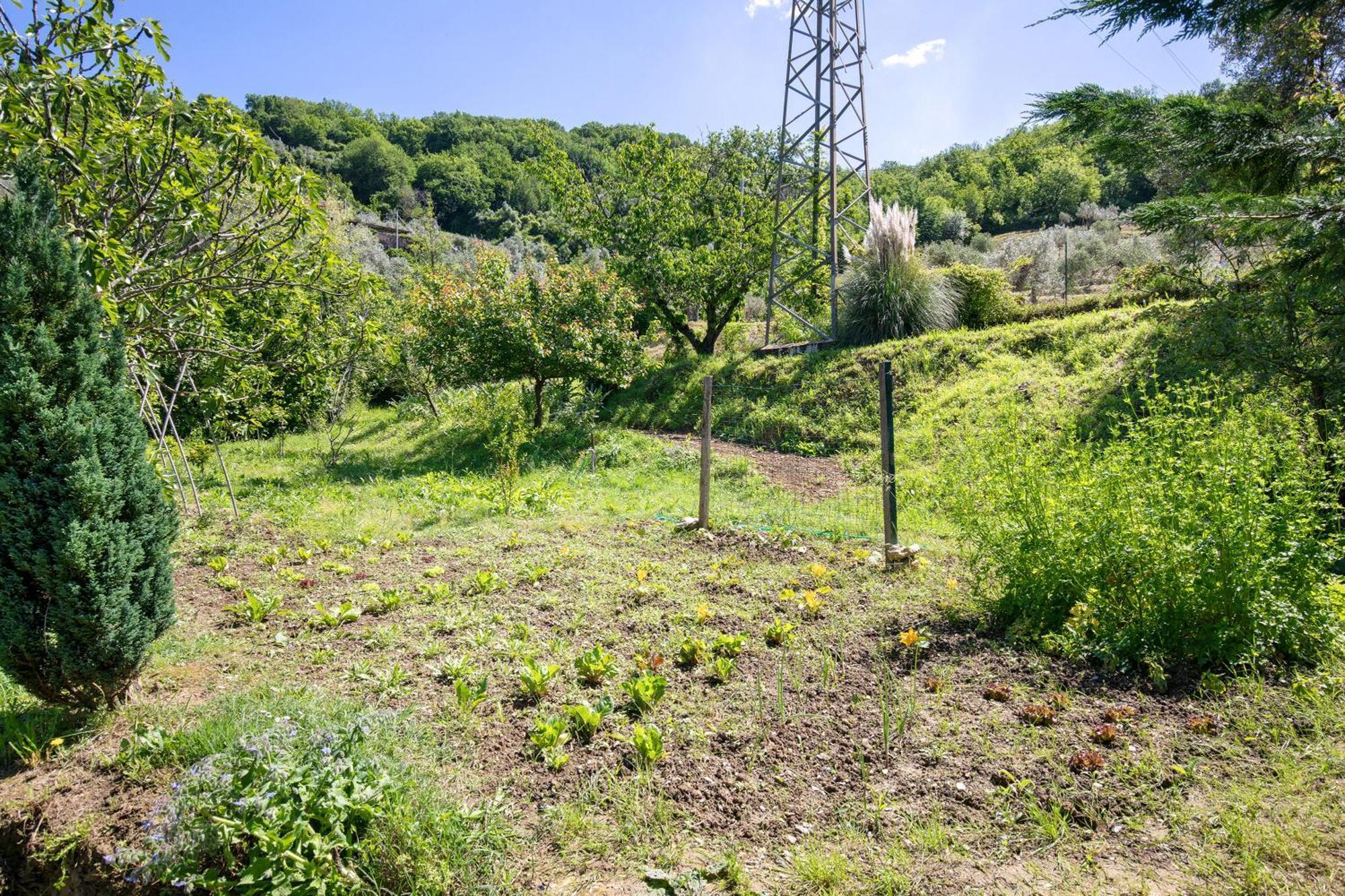 Alchimista Bb Borgo Marciano Bed and Breakfast Castelnuovo Magra Buitenkant foto
