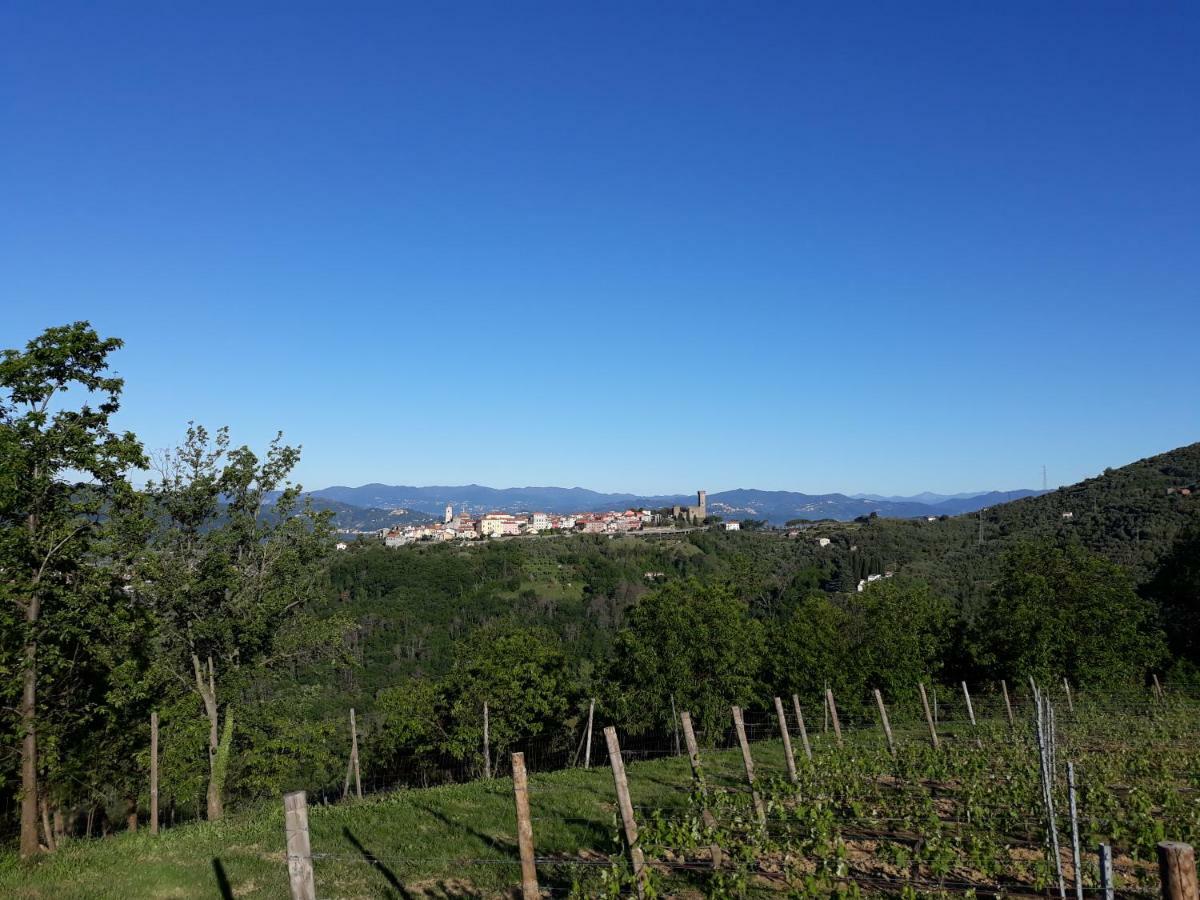 Alchimista Bb Borgo Marciano Bed and Breakfast Castelnuovo Magra Buitenkant foto
