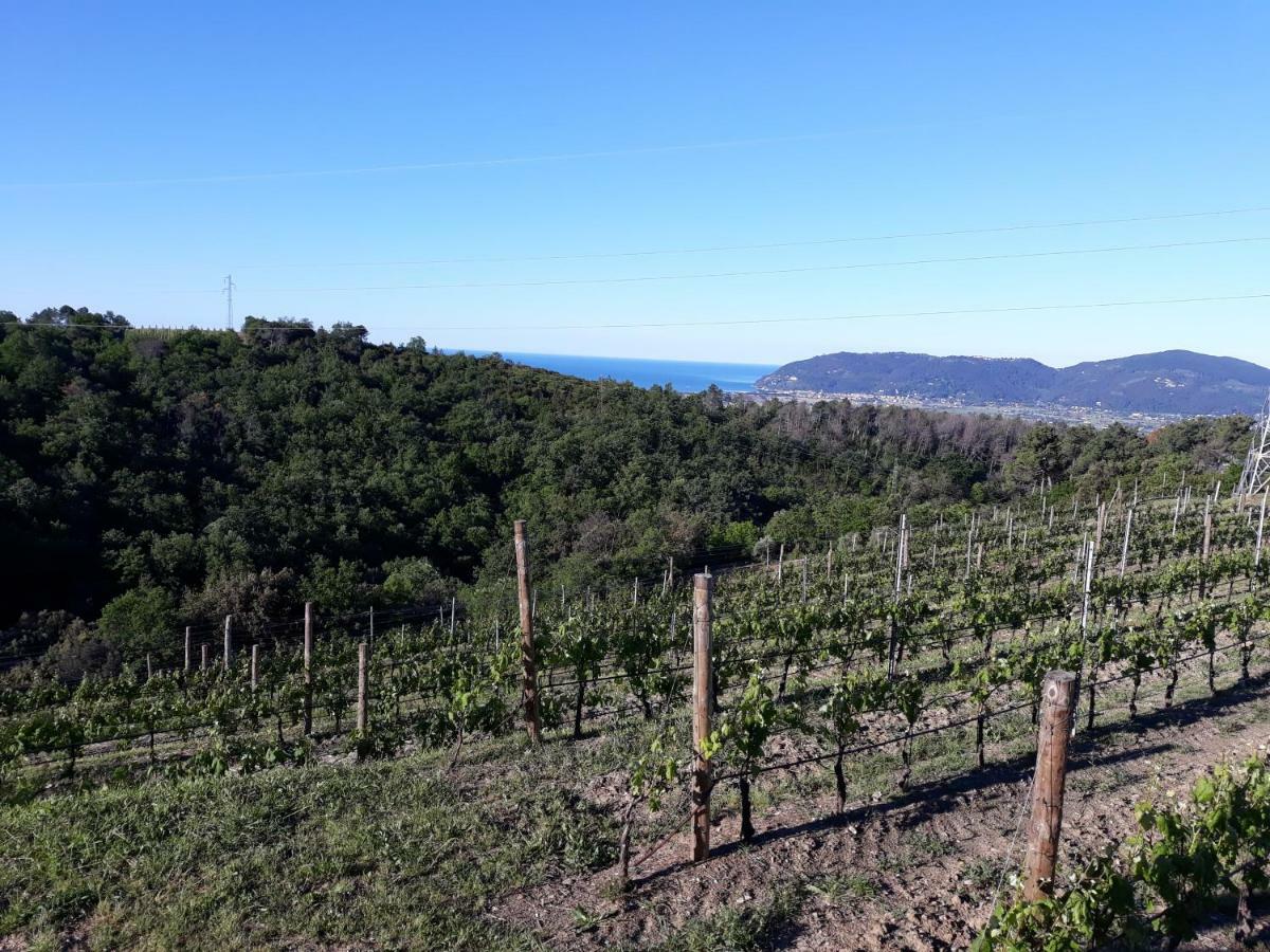 Alchimista Bb Borgo Marciano Bed and Breakfast Castelnuovo Magra Buitenkant foto